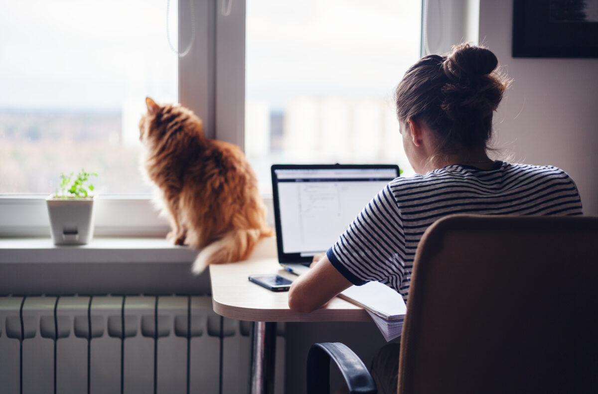 immagine di donna in smartworking