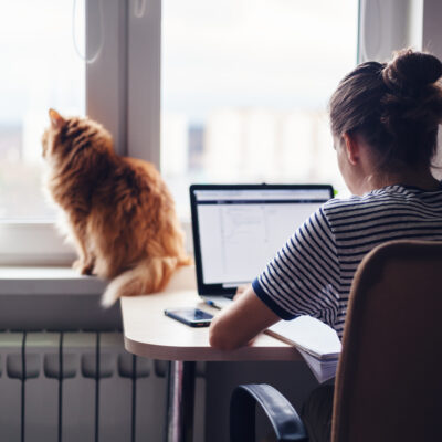 immagine di donna in smartworking